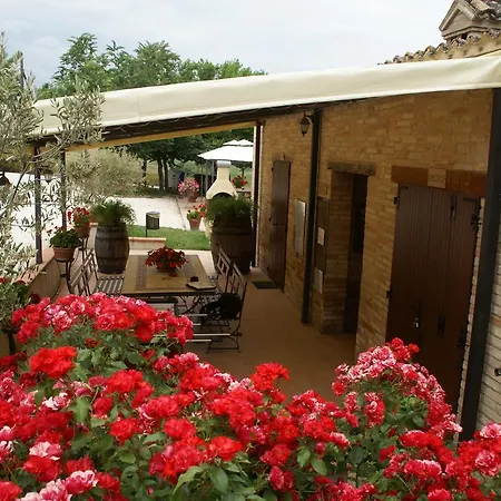 Apartamento Fattoria Silvia Begonia *